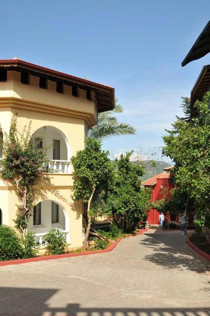 Larissa Hill Beach Hotel Konakli Exterior photo